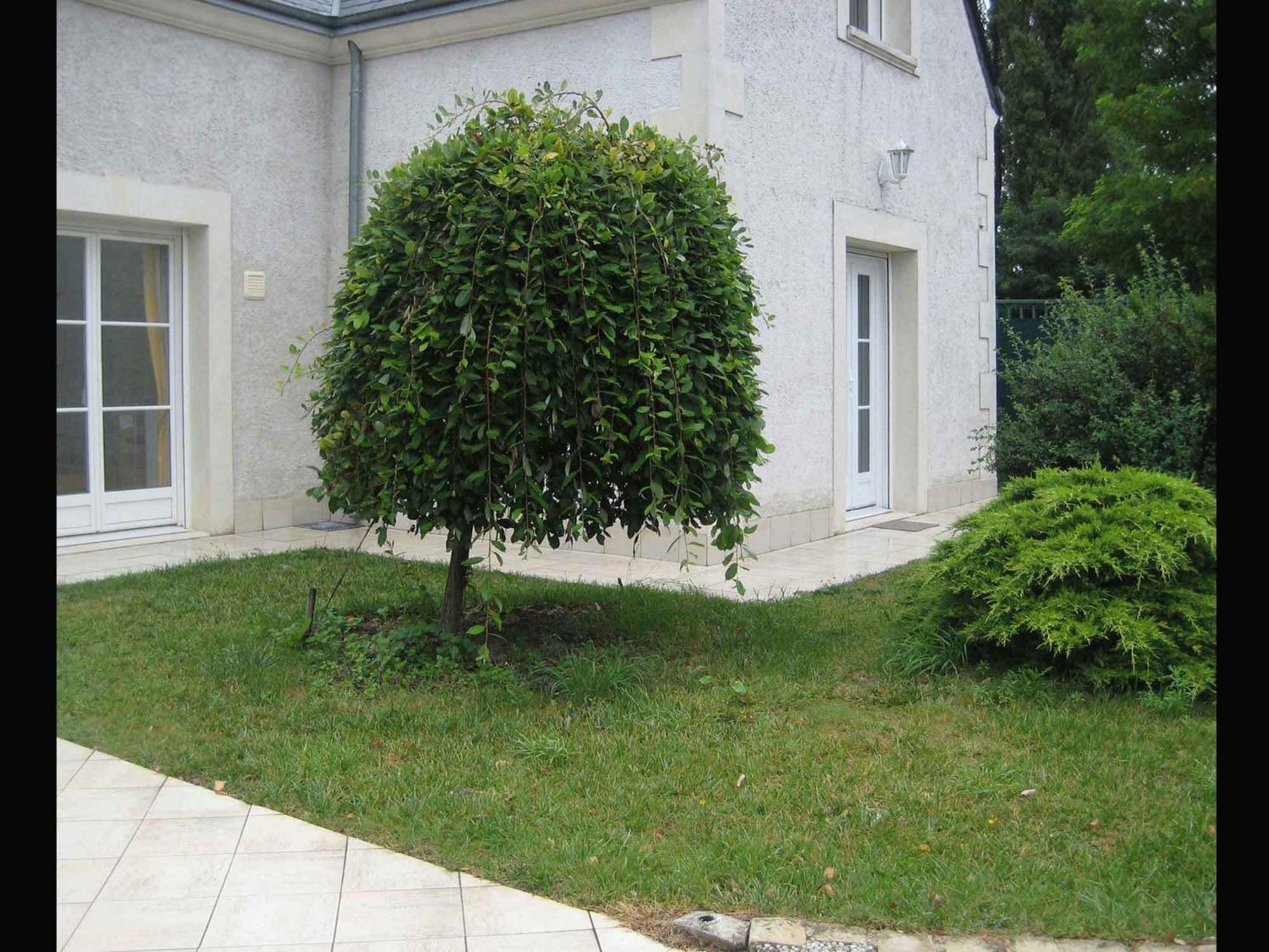 Les Agapanthes La Riche Apartment Exterior photo